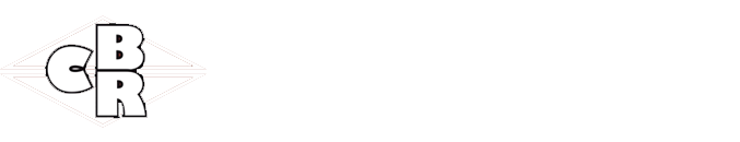 Seguros Baos y Ramirez Logo